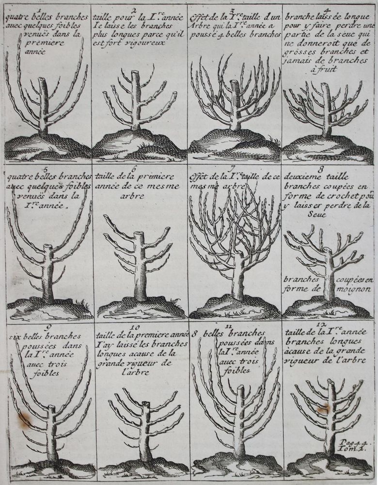 Große Abbildung Nr.2: 140-1079 La Quintinye,J.de.: (Land- und Forstwirtschaft, Pomologie)