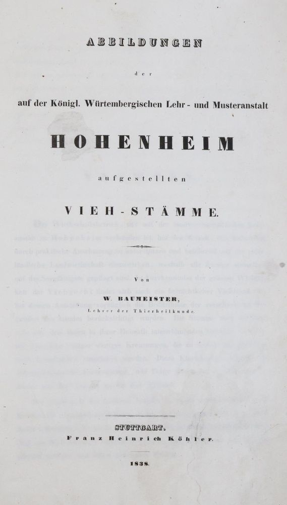 Große Abbildung Nr.1: 140-1082 Baumeister,W.: (Land- und Forstwirtschaft, Tierhaltung)