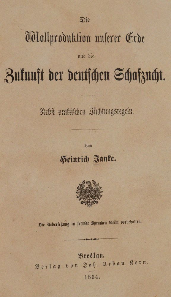 Große Abbildung Nr.1: 140-1091 Janke,H.: (Land- und Forstwirtschaft, Tierhaltung, Schafe)