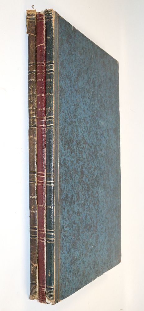 Große Abbildung Nr.3: 140-1120 (Gavard,C. Hrsg.).: (Kunstwissenschaft)