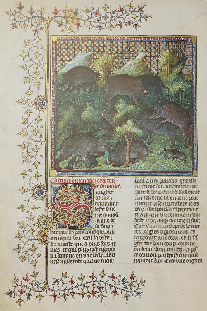 Große Abbildung Nr.1: 140-1206 Gaston Phoebus.: (Faksimile)