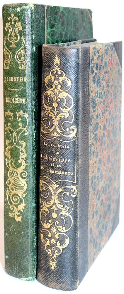 Große Abbildung Nr.3: 140-1362 Bechstein,L.: (Literatur und illustrierte Bücher bis 19.Jahrhundert)