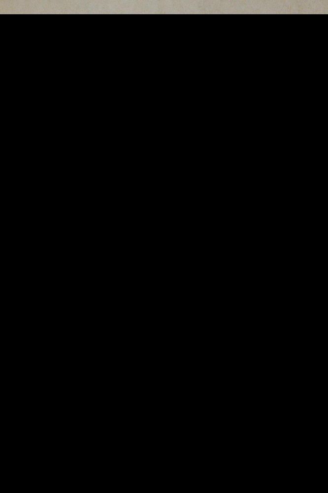 Große Abbildung Nr.4: 140-1390 Olivfarbener Maroquineinband: (Einband)