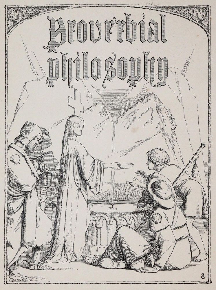 Große Abbildung Nr.5: 140-1392 Rotbrauner Maroquin: (Einband)