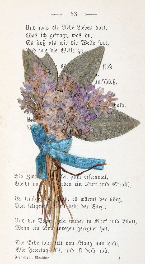 Große Abbildung Nr.2: 140-1403 Fischer,J.G.: (Literatur und illustrierte Bücher bis 19.Jahrhundert)