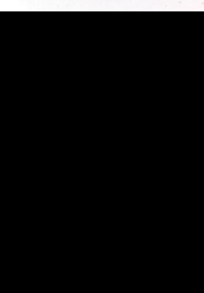 Große Abbildung Nr.11: 140-1612 Fischart,J.: (Literatur und illustrierte Bücher 20.Jahrhundert - Alte Literatur in modernen Ausgaben)