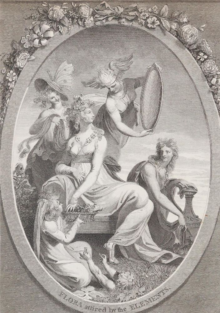 Große Abbildung Nr.2: 140-1747 (Darwin,E.).: (Botanik)