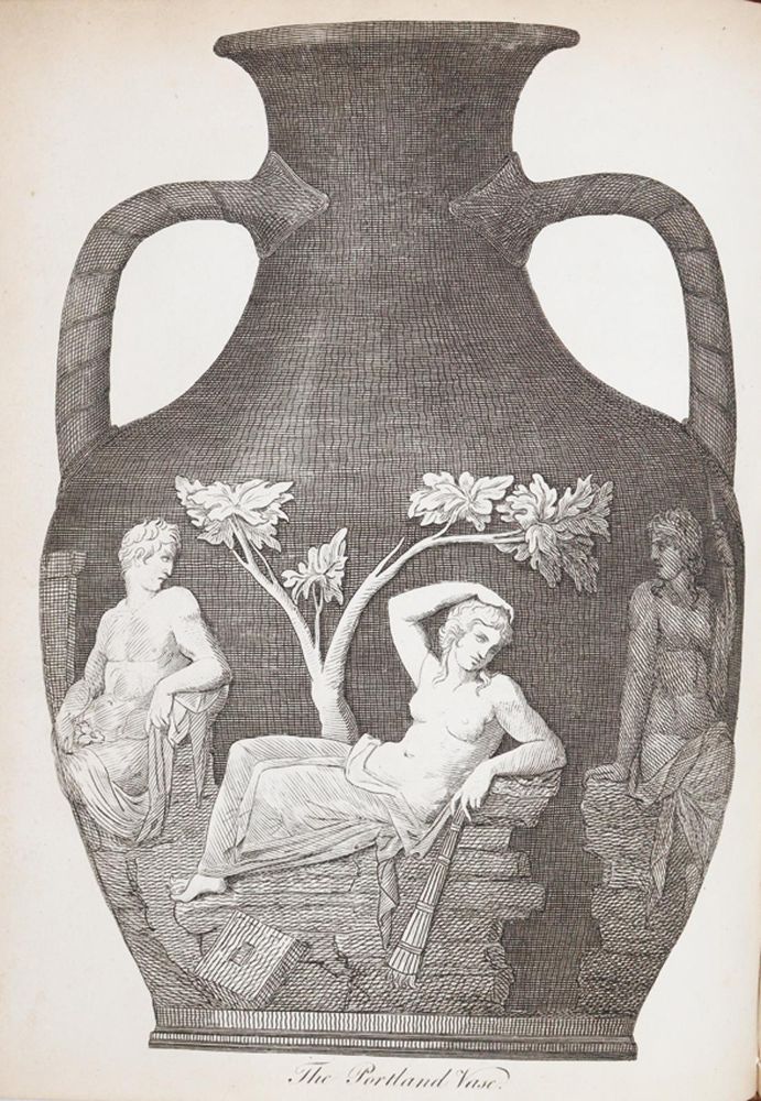 Große Abbildung Nr.4: 140-1747 (Darwin,E.).: (Botanik)