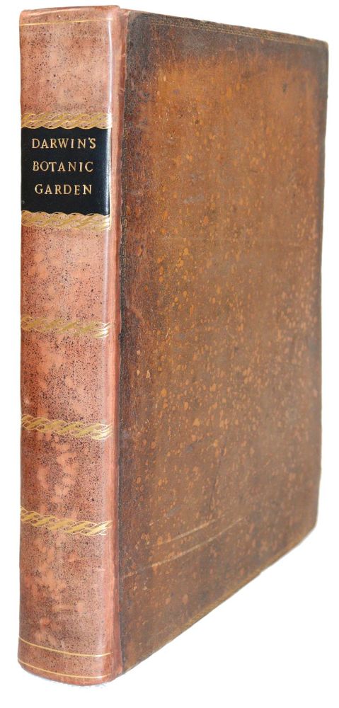 Große Abbildung Nr.6: 140-1747 (Darwin,E.).: (Botanik)