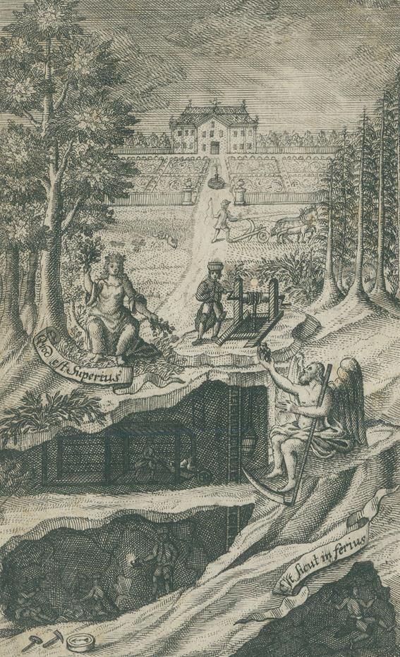 Große Abbildung Nr.1: 140-1750 Henckel,J.F.: (Botanik)