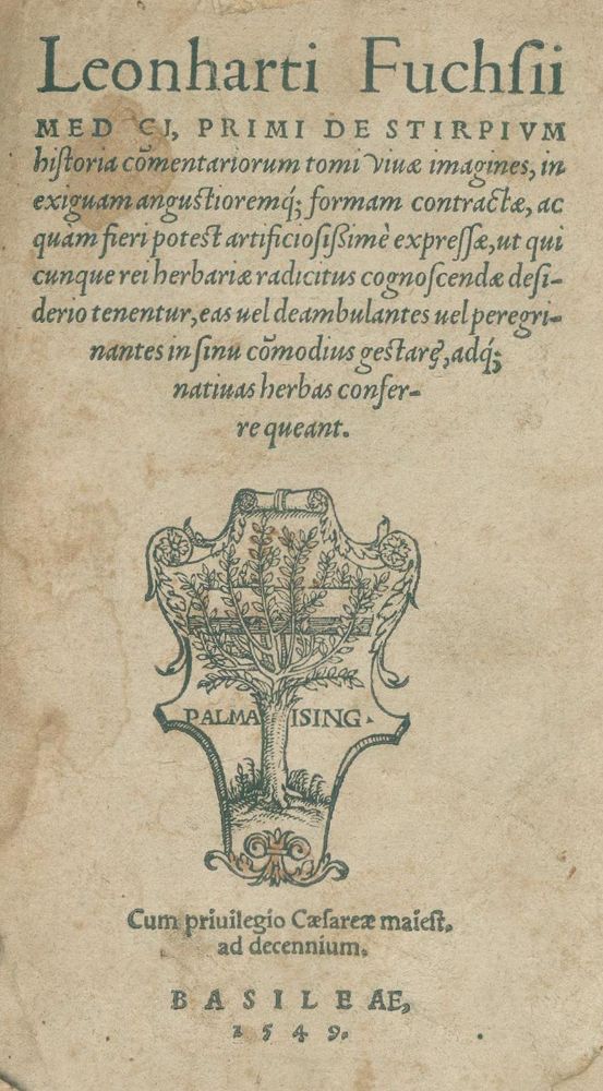 Große Abbildung Nr.1: 140-1753 Fuchs,L.: (Botanik, Kräuterbücher)