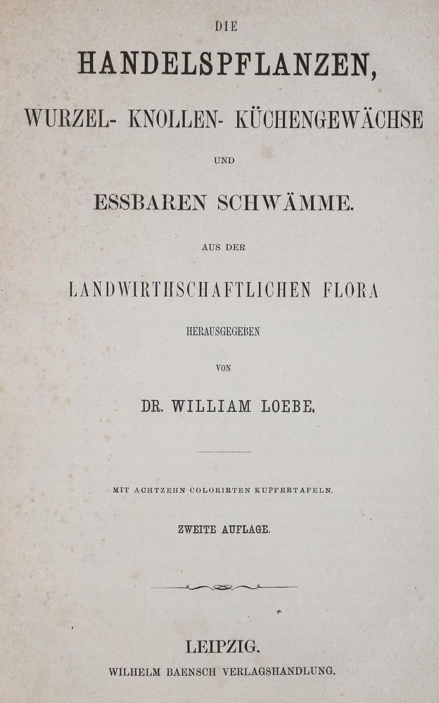 Große Abbildung Nr.2: 140-1757 Loebe,W.: (Botanik)