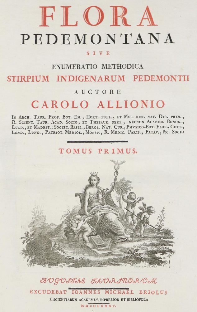 Große Abbildung Nr.4: 140-1766 Allioni,C.: (Botanik, Piemont)
