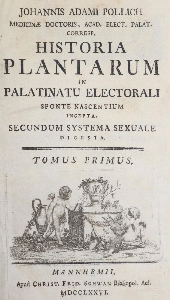 Große Abbildung Nr.2: 140-1769 Pollich,J.A.: (Botanik)