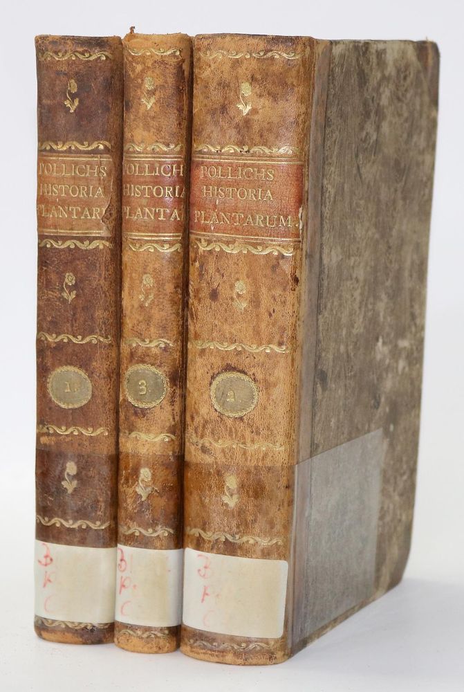 Große Abbildung Nr.3: 140-1769 Pollich,J.A.: (Botanik)