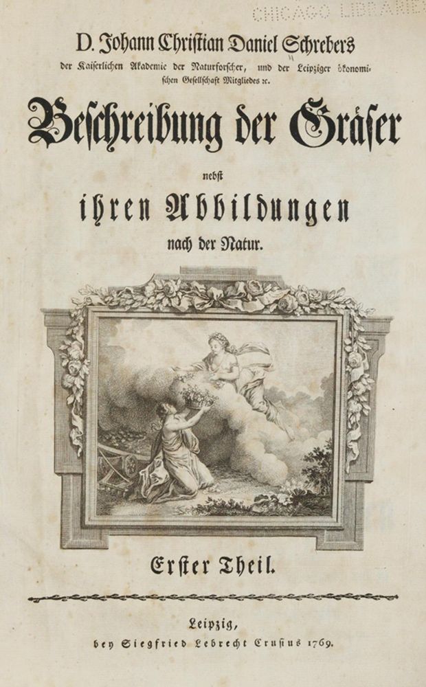 Große Abbildung Nr.1: 140-1771 Schreber,J.C.D.: (Botanik)