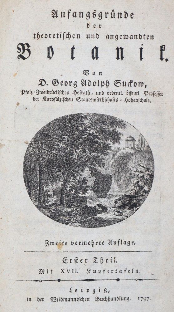 Große Abbildung Nr.1: 140-1773 Suckow,G.A.: (Botanik)