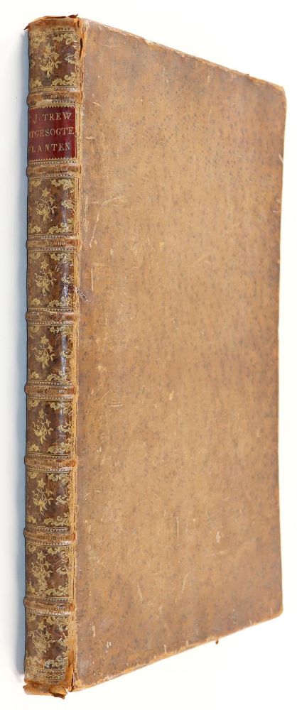 Große Abbildung Nr.12: 140-1774 Trew,Ch.J. (Botanik)