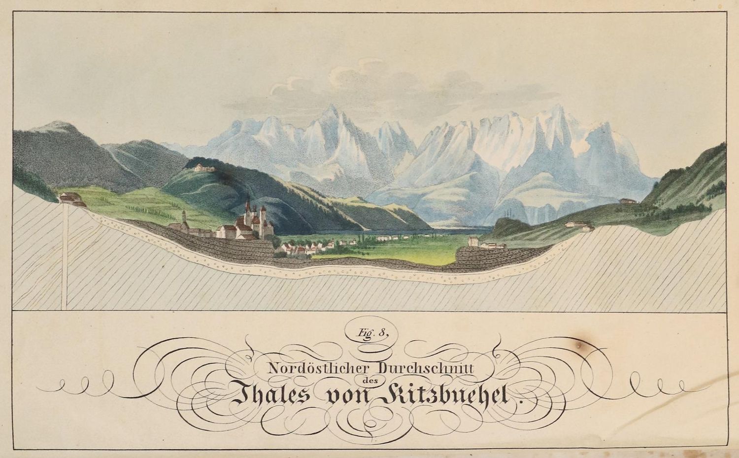 Große Abbildung Nr.2: 140-1776 Unger,F.: (Botanik)