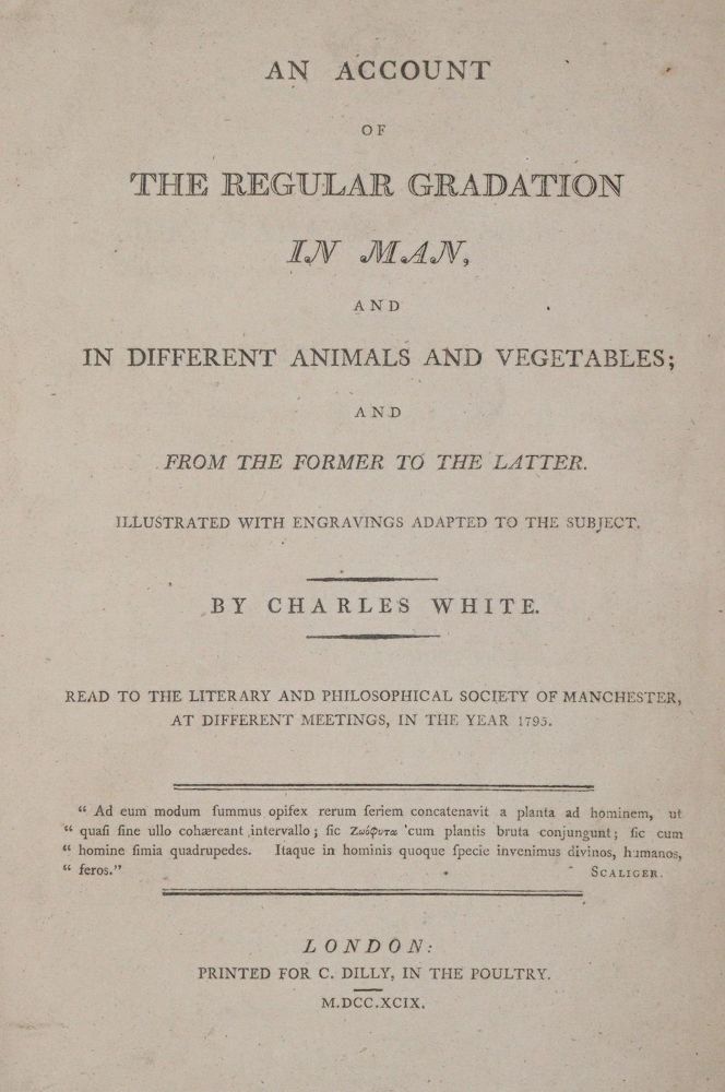 Große Abbildung Nr.1: 140-1781 White,C.: (Medizin, Anthropologie)