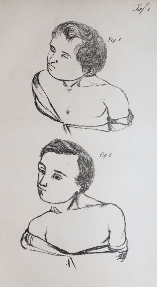 Große Abbildung Nr.2: 140-1796 Dieffenbach,J.F.: (Medizin)