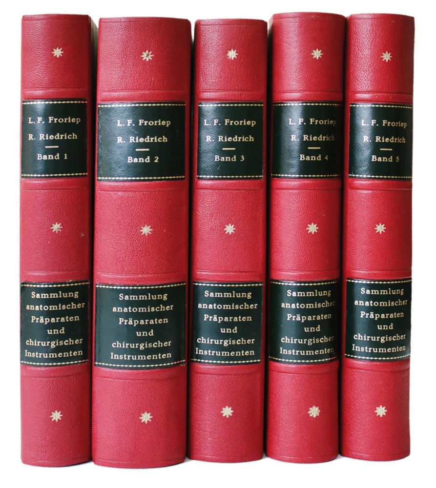 Große Abbildung Nr.1: 140-1805 (Froriep,R. u. L.Friedrich.: (Medizin)