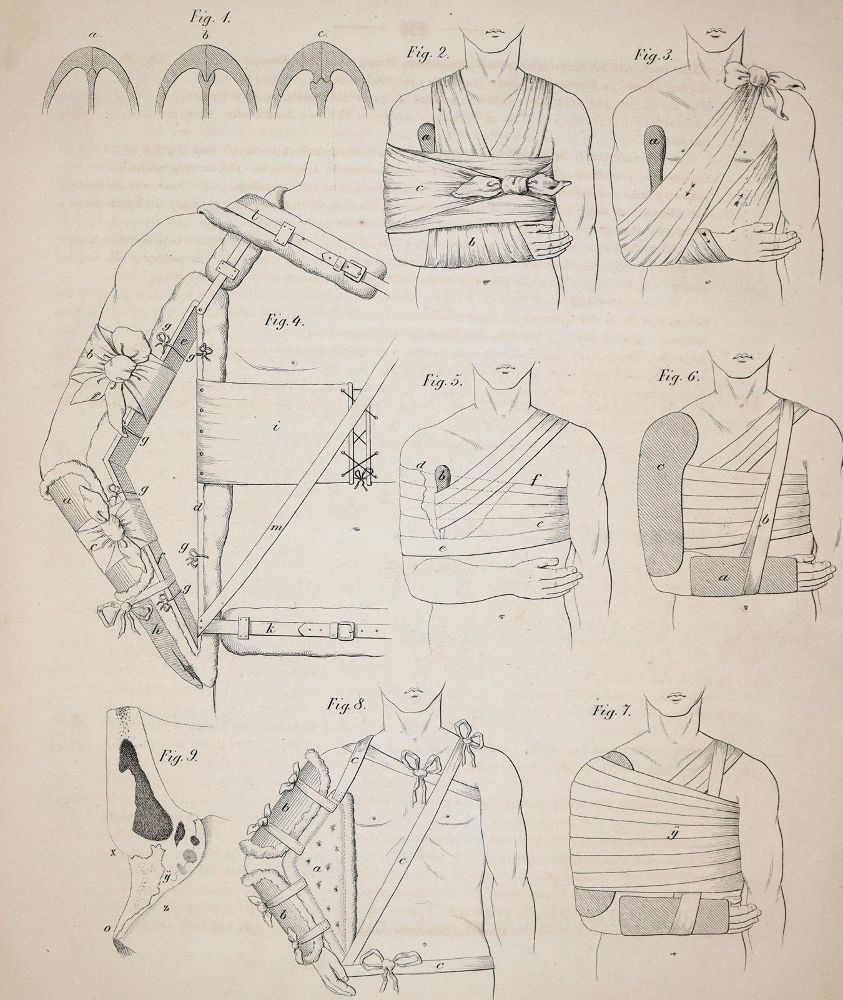 Große Abbildung Nr.21: 140-1809 Siebold,E.C.J.v.: (Medizin, Gynäkologie)