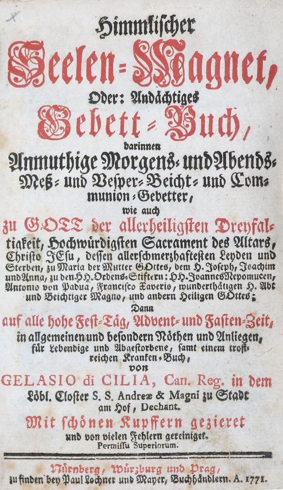 Große Abbildung Nr.6: 140-181 Bauerneinband.: (Einband)