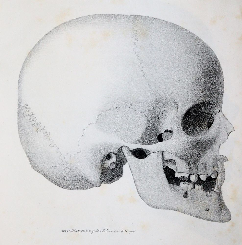 Große Abbildung Nr.2: 140-1821 Hopfengärtner,P.F.: (Medizin)