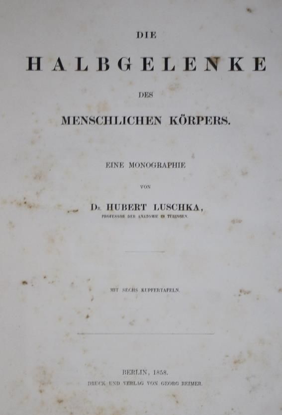 Große Abbildung Nr.1: 140-1827 Luschka,H.: (Medizin)
