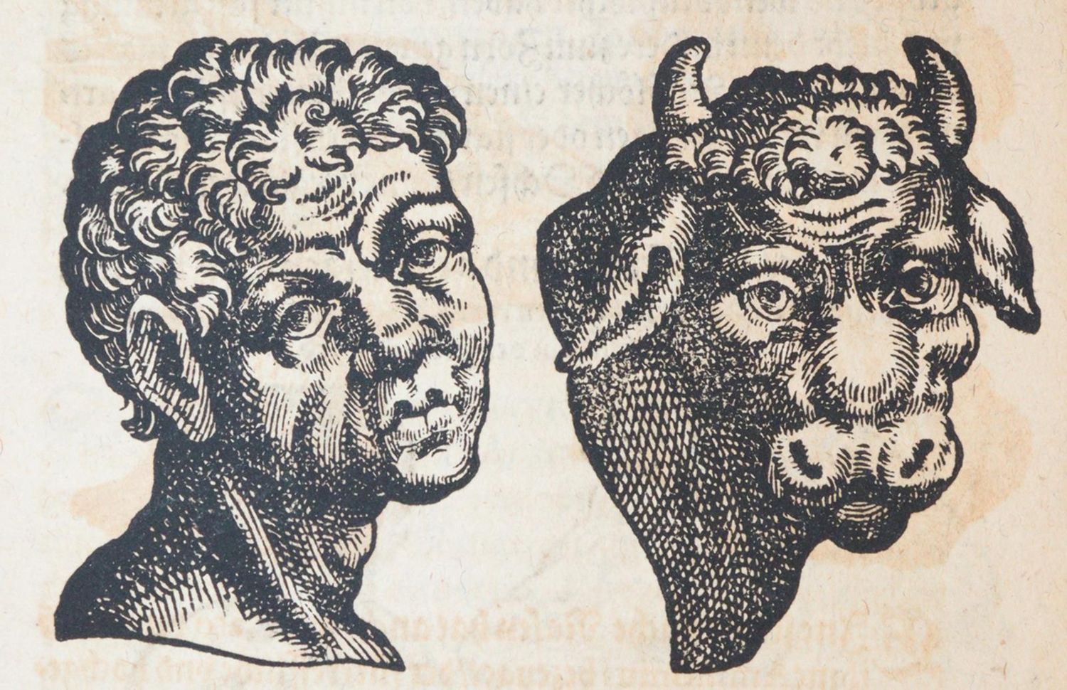 Große Abbildung Nr.3: 140-1848 Porta,G.B.della.: (Medizin)