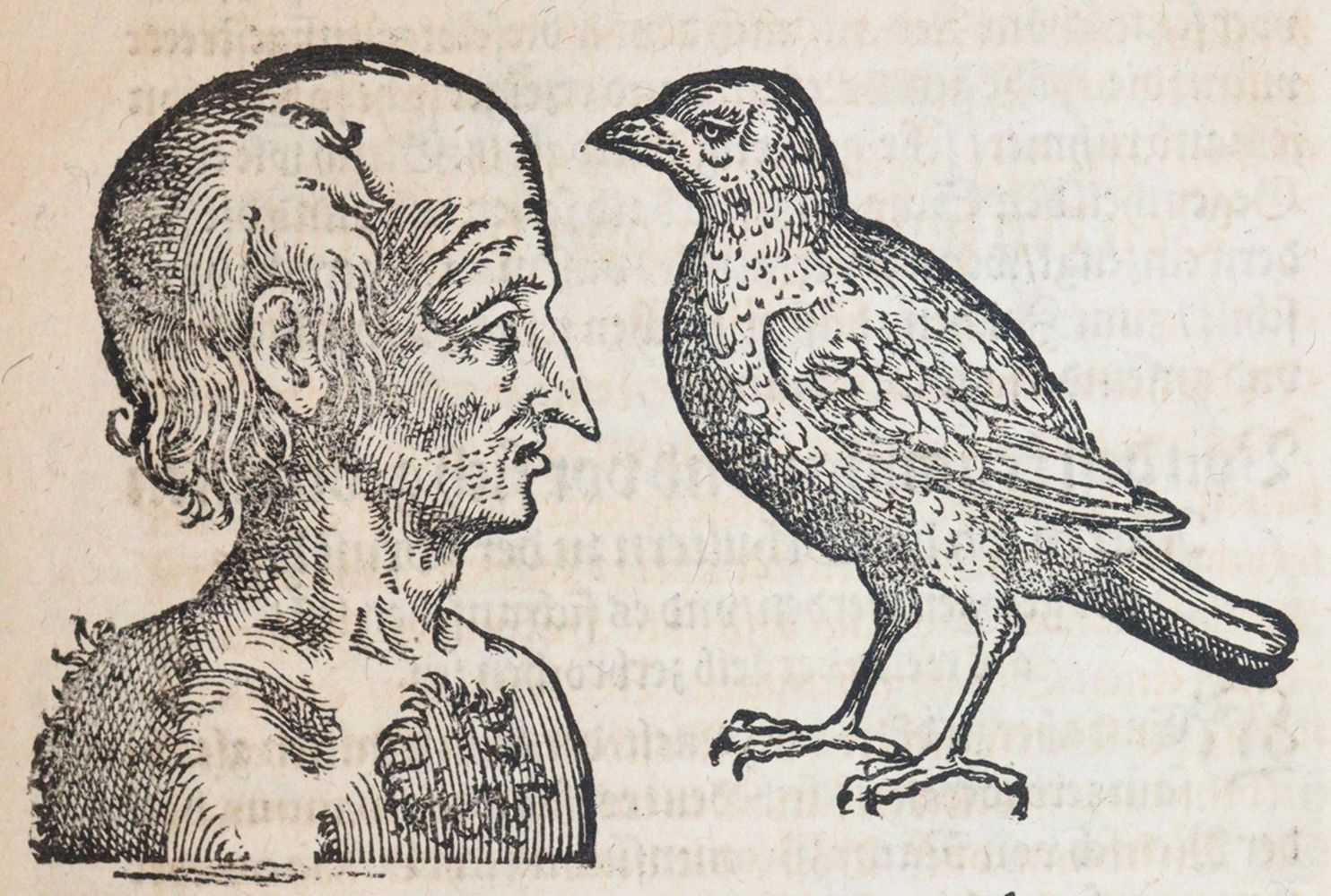 Große Abbildung Nr.4: 140-1848 Porta,G.B.della.: (Medizin)