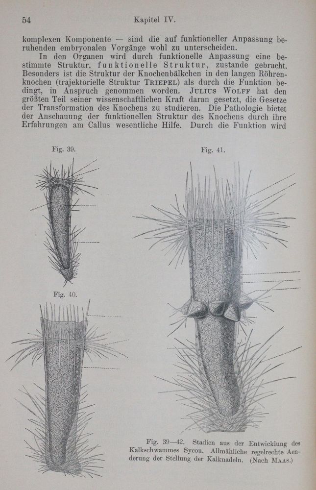 Große Abbildung Nr.2: 140-1861 Sammlung: (Medizin)