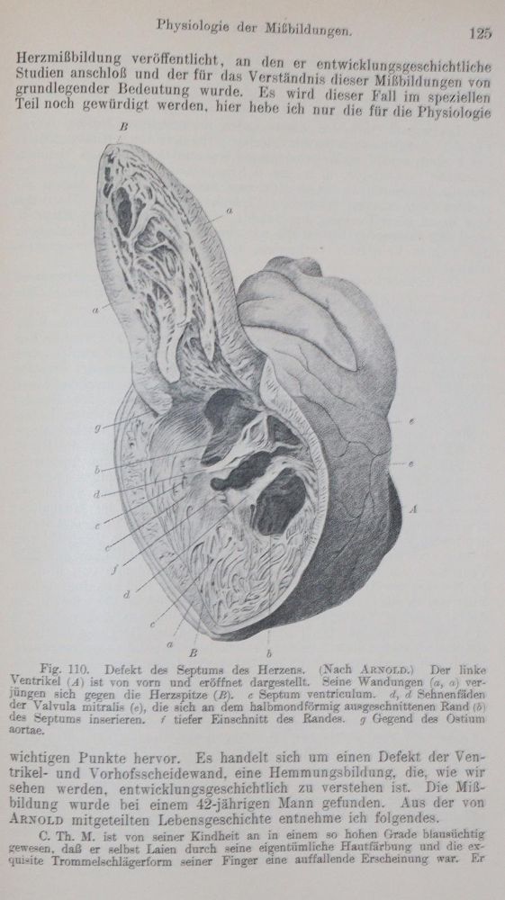 Große Abbildung Nr.3: 140-1861 Sammlung: (Medizin)