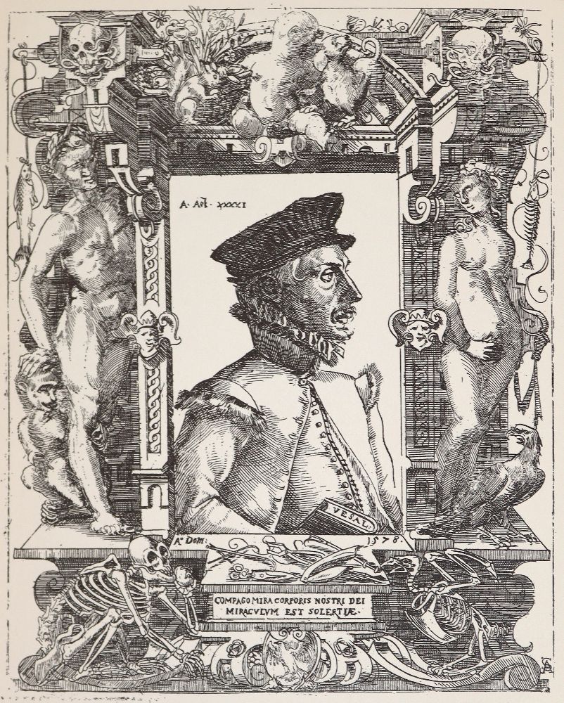 Große Abbildung Nr.2: 140-1862 Sammlung: (Medizin)
