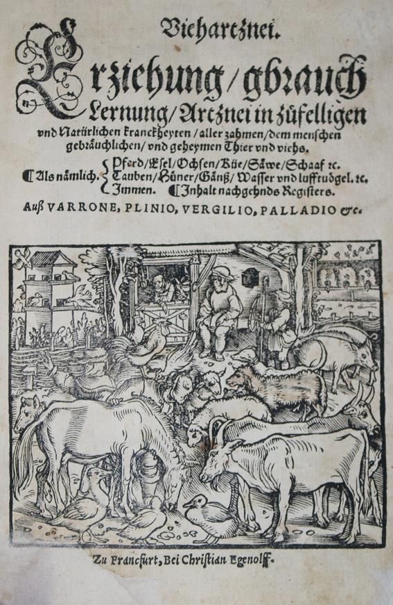 Große Abbildung Nr.1: 140-1876 Viehartznei,: (Medizin, Veterinärmedizin)