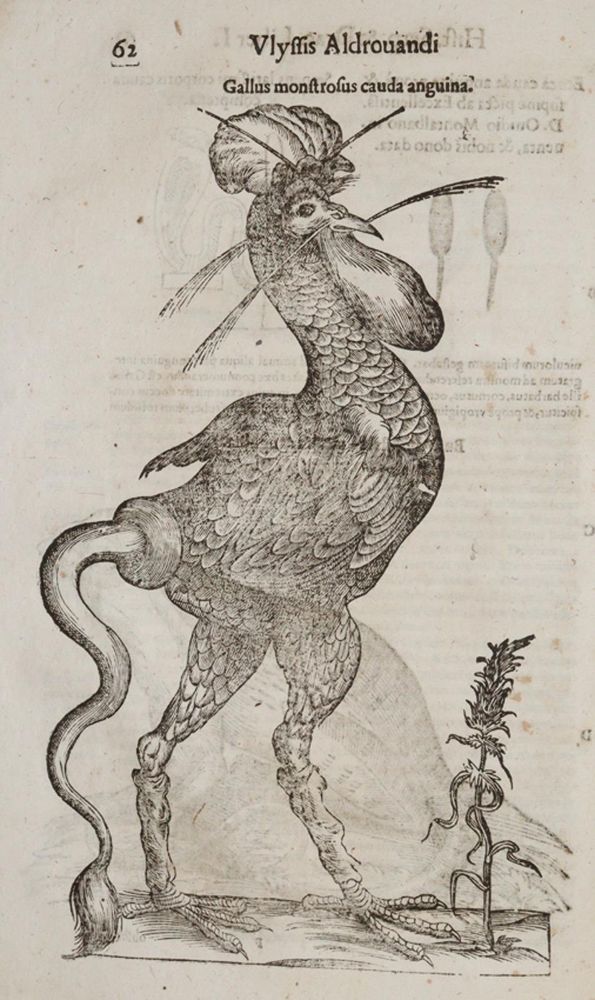 Große Abbildung Nr.2: 140-1884 Aldrovandi,U.: (Zoologie)