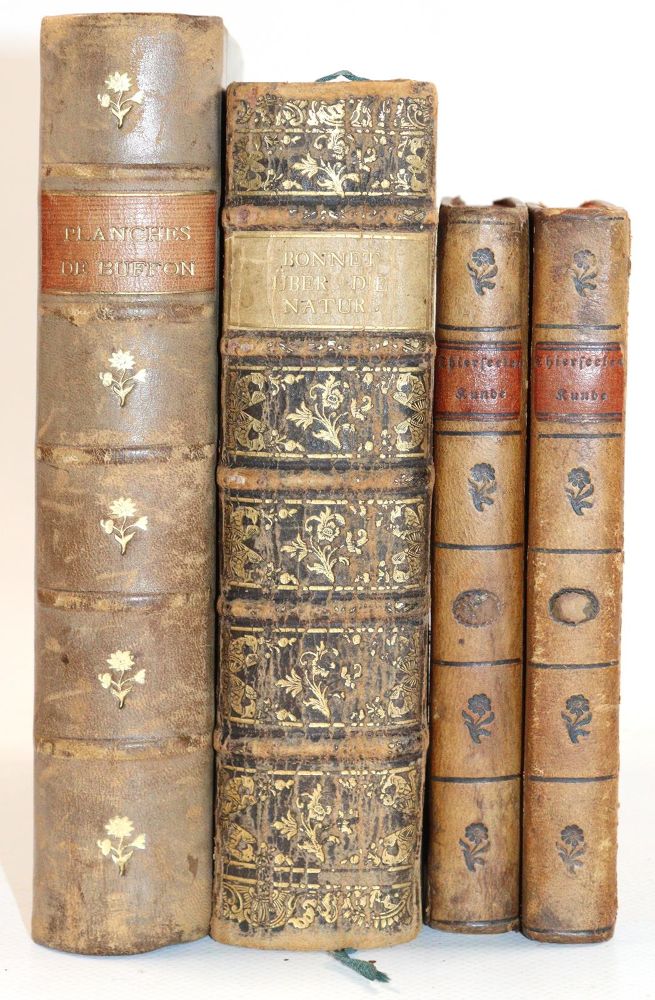 Große Abbildung Nr.5: 140-1887 Bonnet,C.: (Zoologie)
