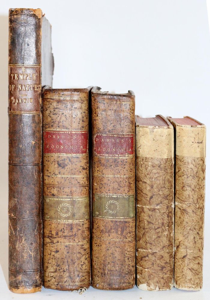 Große Abbildung Nr.4: 140-1891 Darwin,E.: (Zoologie)