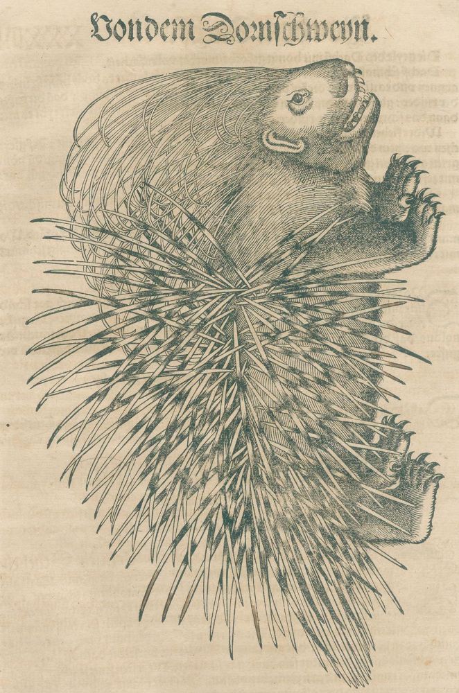 Große Abbildung Nr.2: 140-1895 Gesner,K.: (Zoologie)