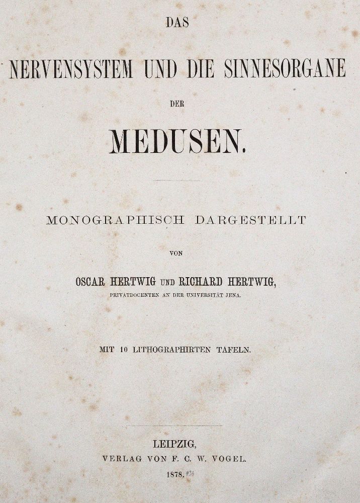 Große Abbildung Nr.1: 140-1896 Hertwig,O. u. R.Hertwig.: (Zoologie)
