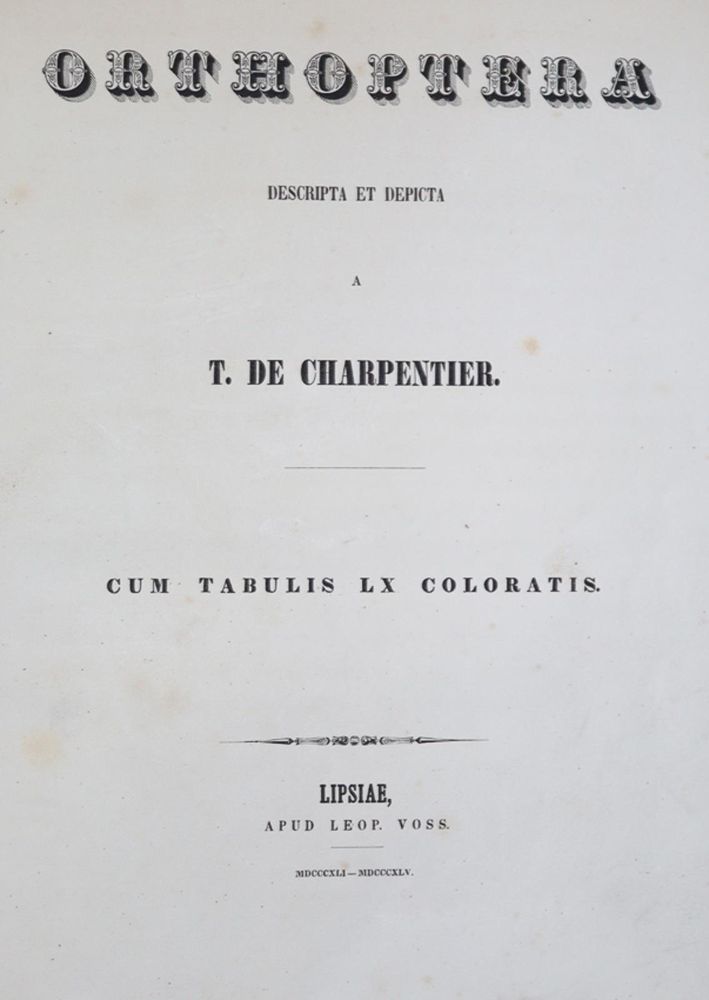 Große Abbildung Nr.1: 140-1897 Charpentier,T.v.: (Zoologie, Heuschrecken)
