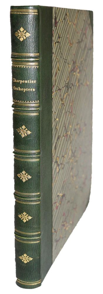Große Abbildung Nr.7: 140-1897 Charpentier,T.v.: (Zoologie, Heuschrecken)