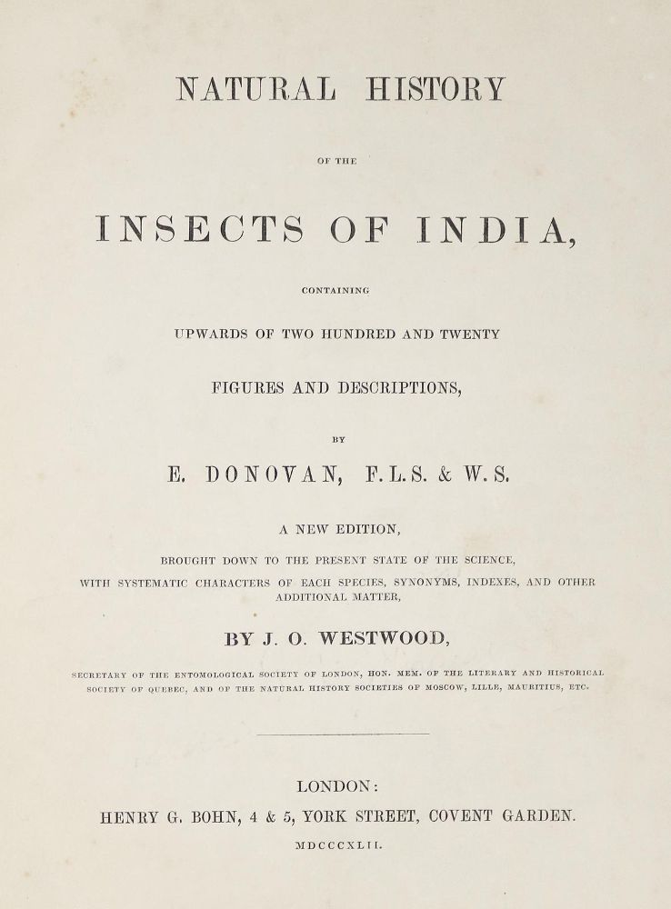 Große Abbildung Nr.3: 140-1900 Donovan,E.: (Zoologie, Insekten)