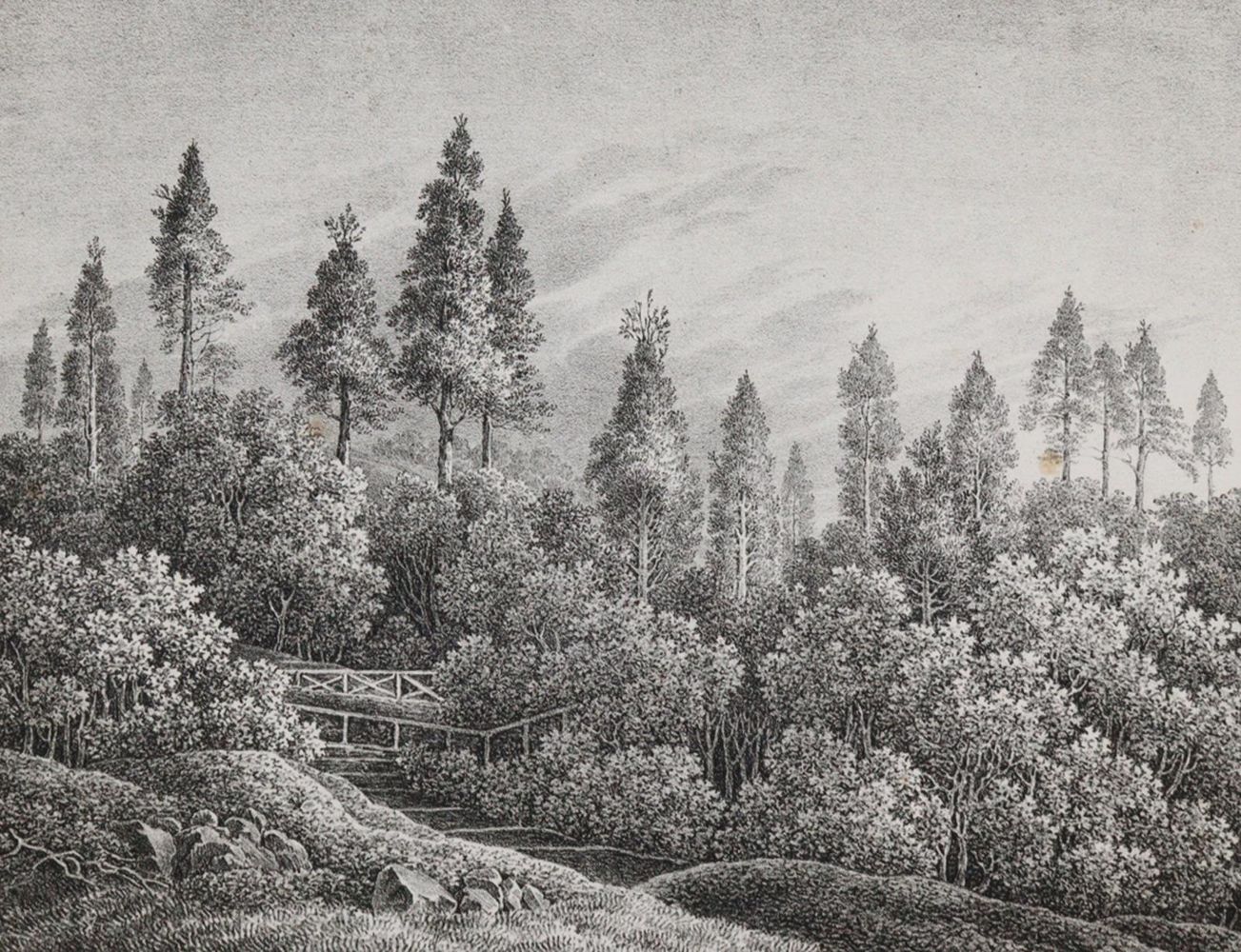 Große Abbildung Nr.1: 140-1903 Ratzeburg,J.T.C.: (Zoologie, Insekten)