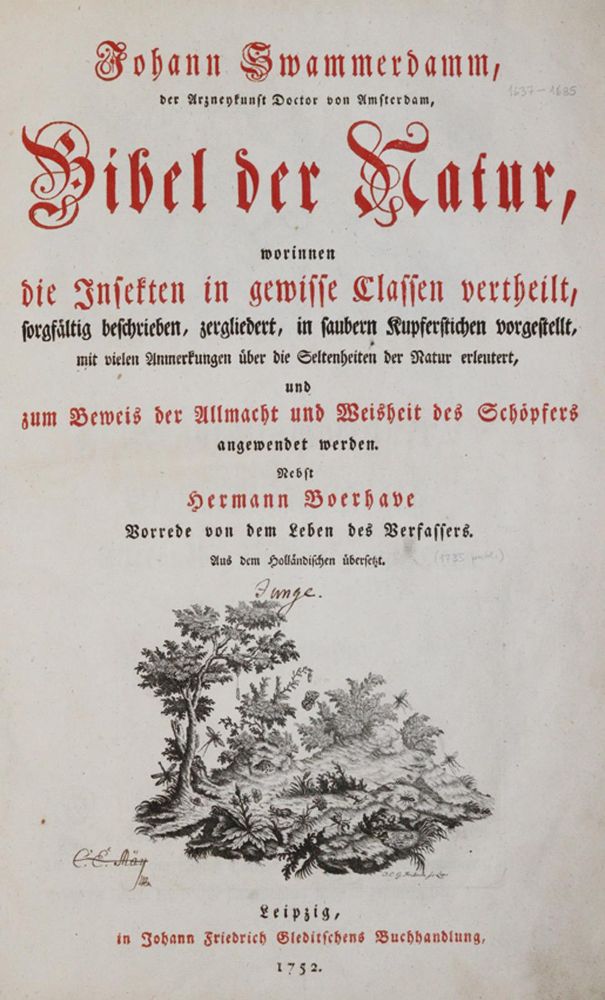 Große Abbildung Nr.1: 140-1905 Swammerdamm,J.: (Zoologie, Insekten)