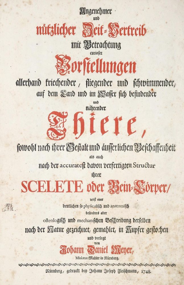 Große Abbildung Nr.2: 140-1911 Meyer,J.D.: (Zoologie)
