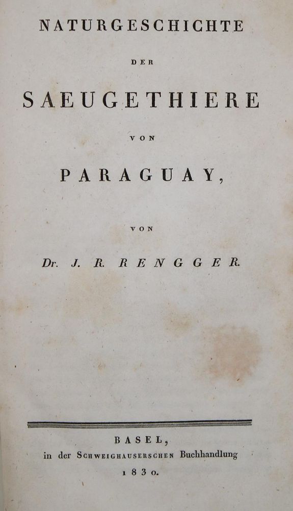 Große Abbildung Nr.1: 140-1912 Rengger,J.R.: (Zoologie, Paraguay)