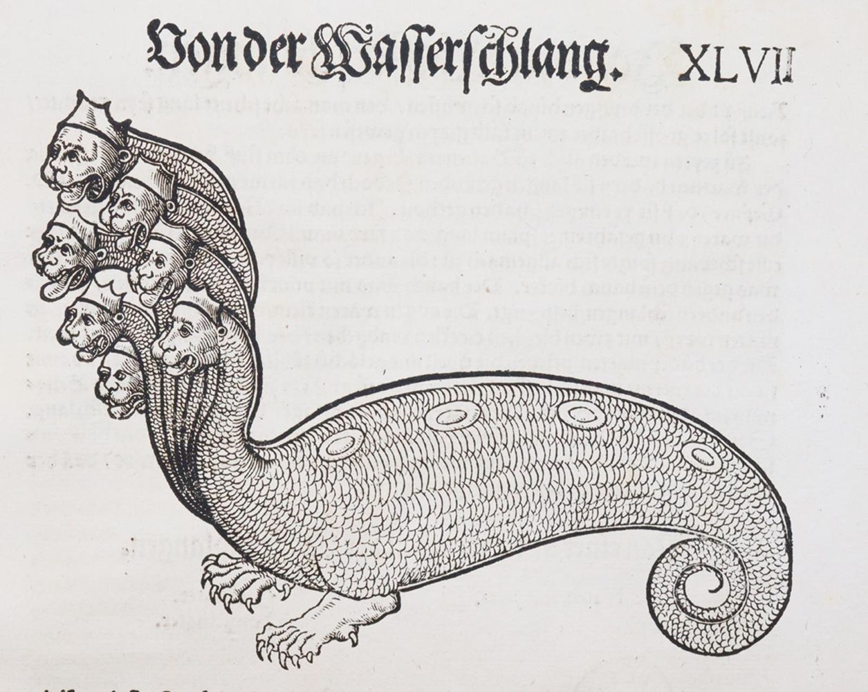 Große Abbildung Nr.1: 140-1919 Geßner,C.: (Zoologie, Schlangen)