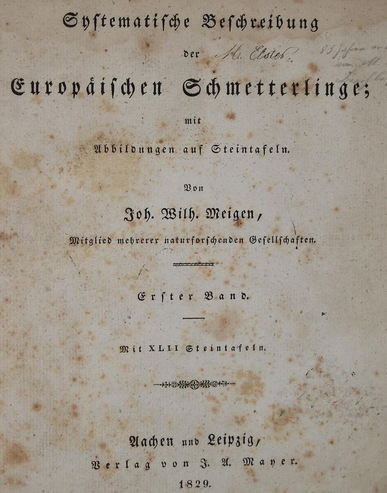 Große Abbildung Nr.1: 140-1923 Meigen,J.W.: (Zoologie, Schmetterlinge)